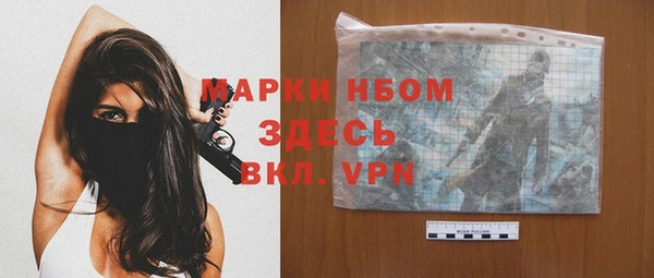 сатива Белокуриха