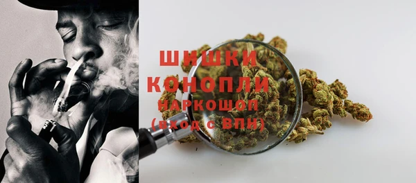 сатива Белокуриха