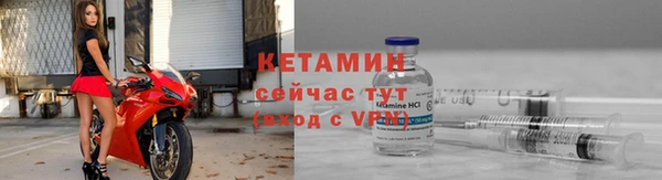 сатива Белокуриха