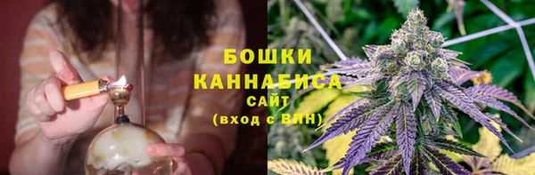 сатива Белокуриха