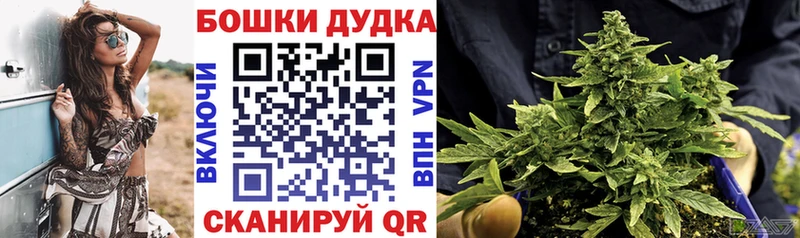 кракен   Харовск  Конопля план 